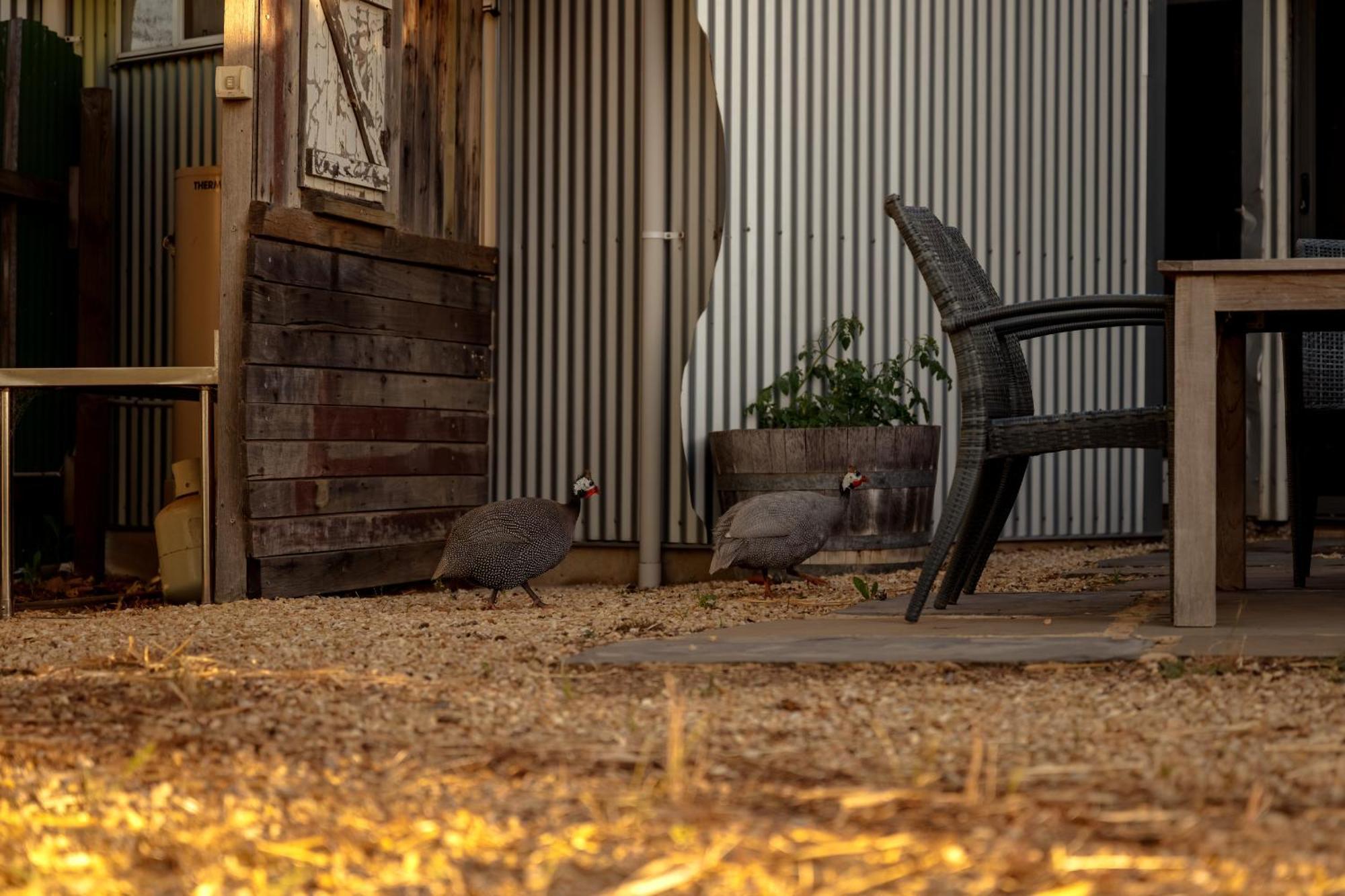 Bed In A Shed Vineyard Stay Watervale Exterior photo